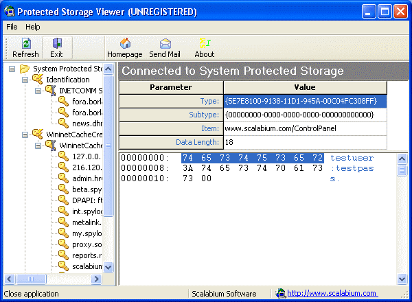 Protected Storage viewer 2.8 full