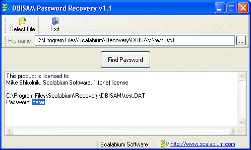 DBISAM Password Recovery